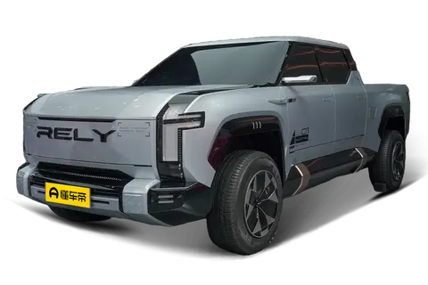 RELY P2X