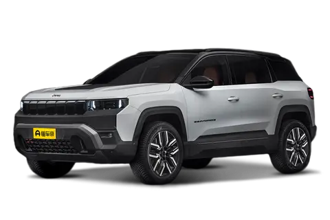 ZhiNanZhe 4xe Overseas
