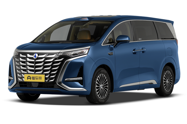 Denza D9 DM 30.98-45.98 — миниатюра 2