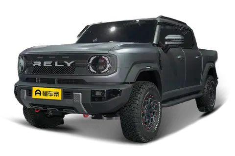 RELY P3X