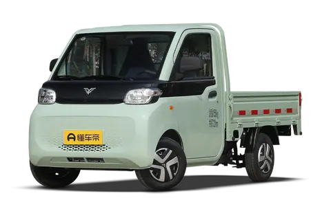 LeiChi T10